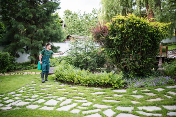Mulching Services in Hillsboro, WI