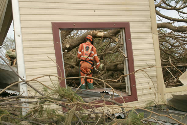 How Our Tree Care Process Works  in  Hillsboro, WI