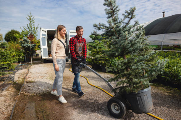 Best Leaf Removal  in Hillsboro, WI